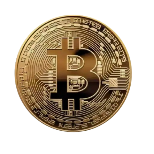 photo_2025-03-19_09-50-04-removebg-preview-1.png